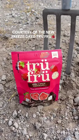 So who did it?!? The new and improved freeze-dried Trü Frü🍫🍓👀  #trufru #freezedried #new 