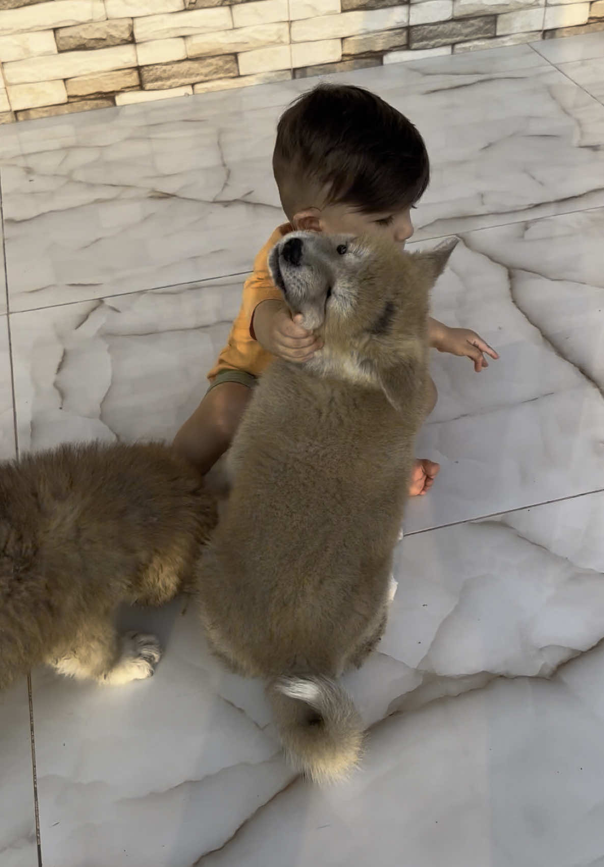 Sonu surprizli😆😆 #khanmammadov #baby #babyanimals #animals #animalslove 