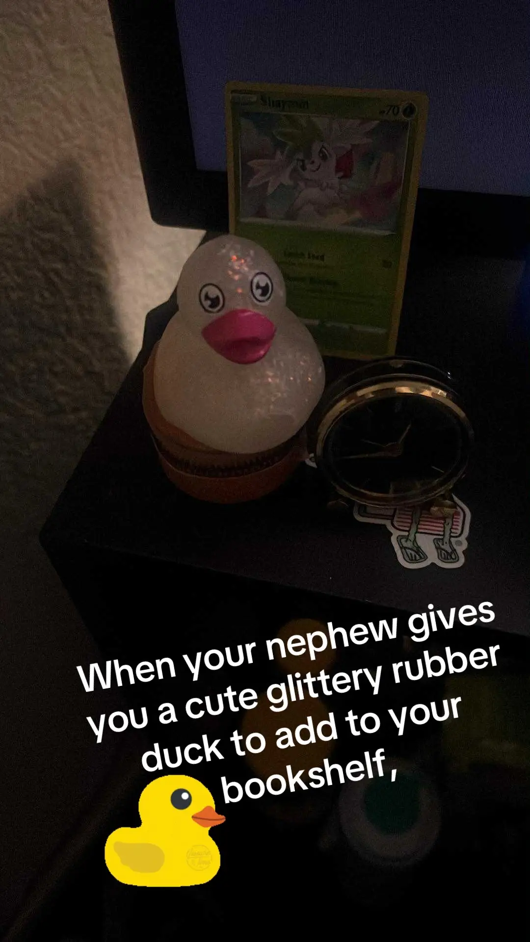#BookTok #tiktok #glitteryrubberducky #fyp #cute