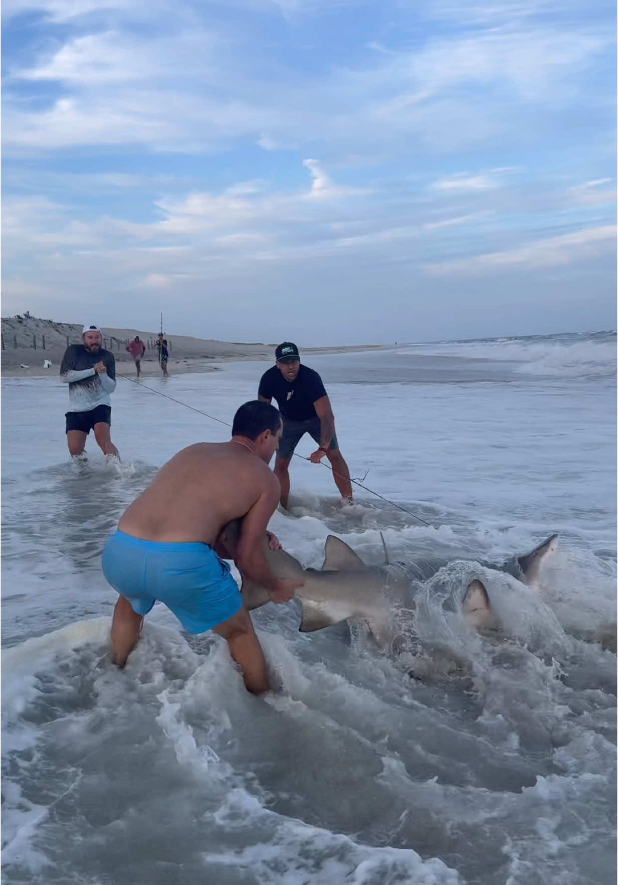 🤣Comment if you heard it🤣 #fyp #foryou #sharkman #shark #sharkfishing #sharks #fishing #fish #sharkweek #tuna #wow #ocean #beach #water #crazy #viral #tiktok #foryoupage @KastKingUSA 