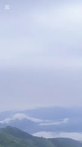 #creatorsearchinsights 