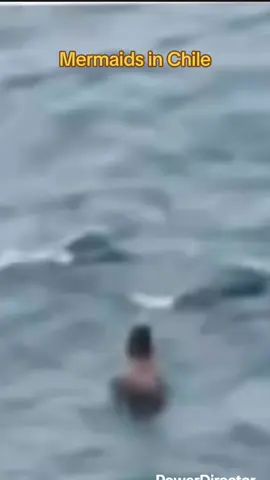 We all saw the mermaid sighting in Chile, but nobody is talking about this!!! Who is that? What is that? #merfolk #mermaids #siren#mermaidsighting#spiritualtiktok 