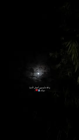 والله مايسوى اعيش الدنيا دونك 🫂♥️.#ستوريات🍂 #N #مالي_خلق_احط_هاشتاقات #نابلس 