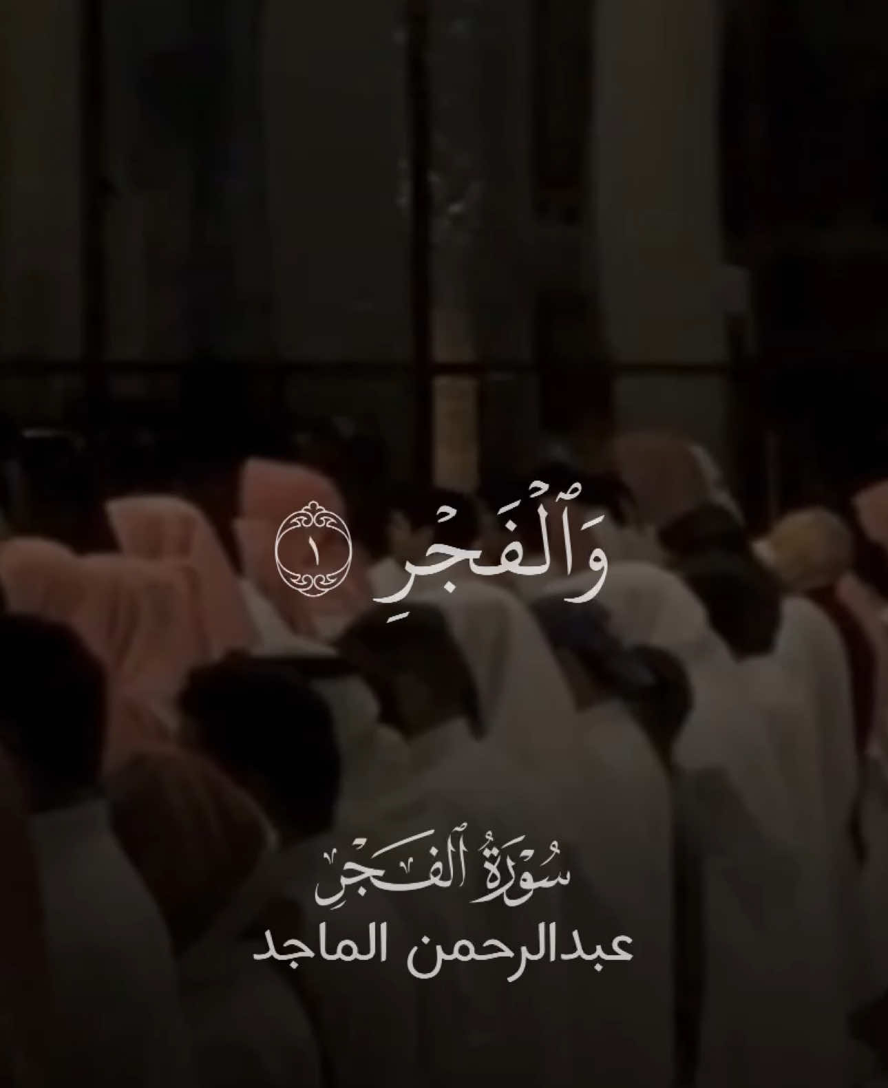 سورة الفجر كاملة ولله الحمد بصوت القارئ : عبدالرحمن الماجد 🤎🤎🤎 #تلاوات_المساجد #quran #تلاوة_خاشعة #مزامير_آل_داود #تلاوات #قران #عبدالرحمن_الماجد #سورة_الفجر 