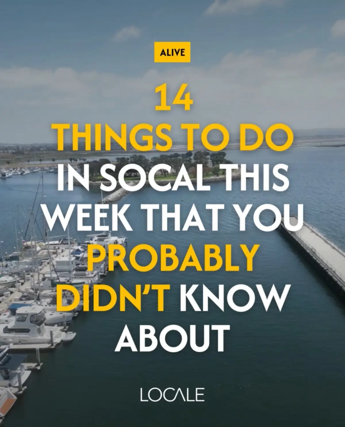 From surprise night markets to live island jams, this list is stacked with the kind of plans your group chat didn’t know it needed 📲👇 🎶 Taste of Encinitas at Encinitas 101 MainStreet  🧠 Schitt’s Creek Trivia Liberty Public Market  🍹 Keep the Party Going Margaritaville Hotel  🛍️ Community Night Market Silver Hippies  🎧 Labor Day Weekend Bash Tunes in the Dunes  🌺 Island Music Park @Holo Holo Music Festival   🛒 Live Music + Shopping Summer Market at NTC Park  🍻 Live Music Taproom & Restaurant in Orange County   ☕️ Coffee & Clay in Palm Springs  🌍 Afrodiaspora Festival Cultural Celebration in San Diego  🚘 Cars and Coffee at Elite Finish Miramar  🌙 Night Market Vibes SD KOLLECTIVE National City  💦 Water Park Day @Knott’s Berry Farm   🪴 Plants and Finds Leafy Pallets Send this to the group chat and make room on your calendar, it’s go time. ⏰ 📸 credit: @Local_e 