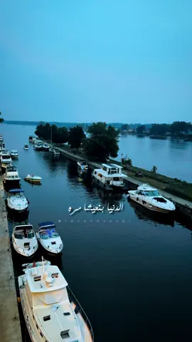 كل غنية احلى من قبلا 🥰🔥🔥🔥#فضل_شاكر #canada_life🇨🇦 