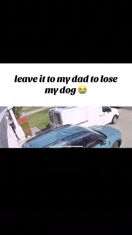 always on that phone 😭 #dogsoftiktok #dadsoftiktok #relatable #hilarious #comedy 