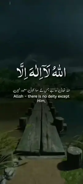 #quran #quran_alkarim #foryoupage❤️❤️ #fyp #capcut 