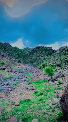 #foryoupage😍vairalsong #peshtosongs❤🎶 #sherdara❤️foryoupage 