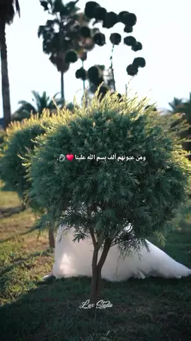 #انا_مين_عندي_بعدك_ولمين_قلبي_بكون #fypシ゚viral🖤tiktok☆♡🦋myvideo #ستوريات_متنوعه #اكسبلورexplore❥🕊🦋💚❤ #❤️❤️❤️❤️❤️❤️❤️❤️❤️❤️❤️❤️❤️❤️❤️ 