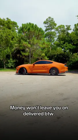 Money over 🐱 @Bobby 📸 #shelbygt500 #mustang #1320video #fypシ #viral 