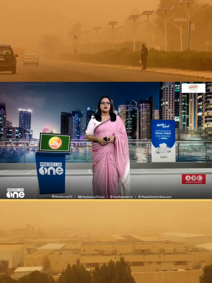 സൗദിയിൽ പൊടിക്കാറ്റും മണൽക്കാറ്റും കുറഞ്ഞു; പരിസ്ഥിതി പദ്ധതികൾ ഗുണം ചെയ്തെന്ന് വിലയിരു
