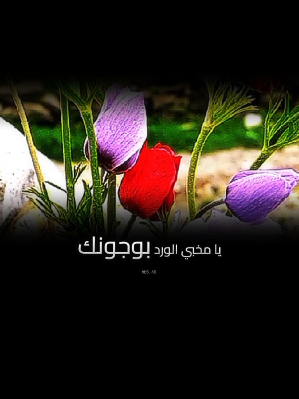 يا سارق الليل بعيونك  يا مخبي الورد بوجونك ✨🌸#منشن #اكسبلور #نواف_فريح #lavendr81 #CapCut 