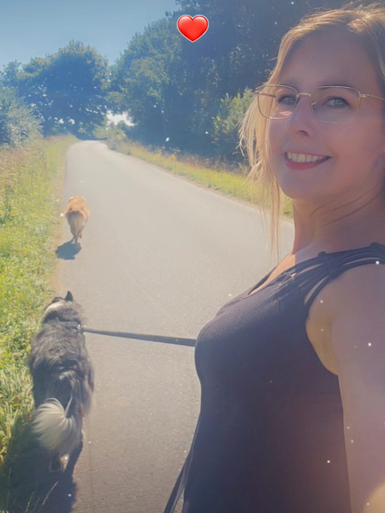 Mode petsitter activé 🥰😍🤩 #petsitter #petsitterlife #petsitters #petsittersoftiktok #pourtoi 