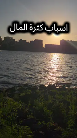 #محمد_علي_الشنقيطي #بدر_المشاري #السيرة_النبوية 