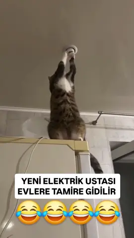 #türkiyetiktokkeşfet #birazcoşalım #komikvideolar #hahaha😂😂😂 