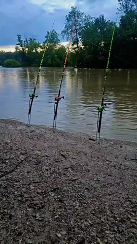 #fishingmaddness #trending #support #support #fishing 