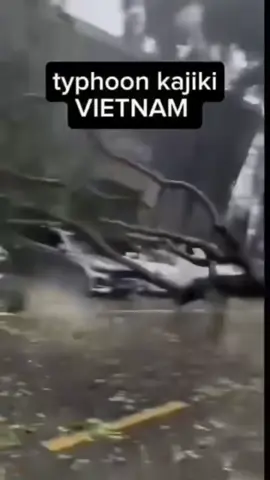 Typhoon Kajiki lashed South China with fierce winds and heavy rain, as Vietnam readied mass evacuations ahead of landfall.