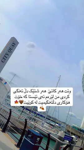 #foryou #kurdistan #hawler_slemani_dhok_karkuk_hallabja #kurdishmusic #birminghamuk🇬🇧 