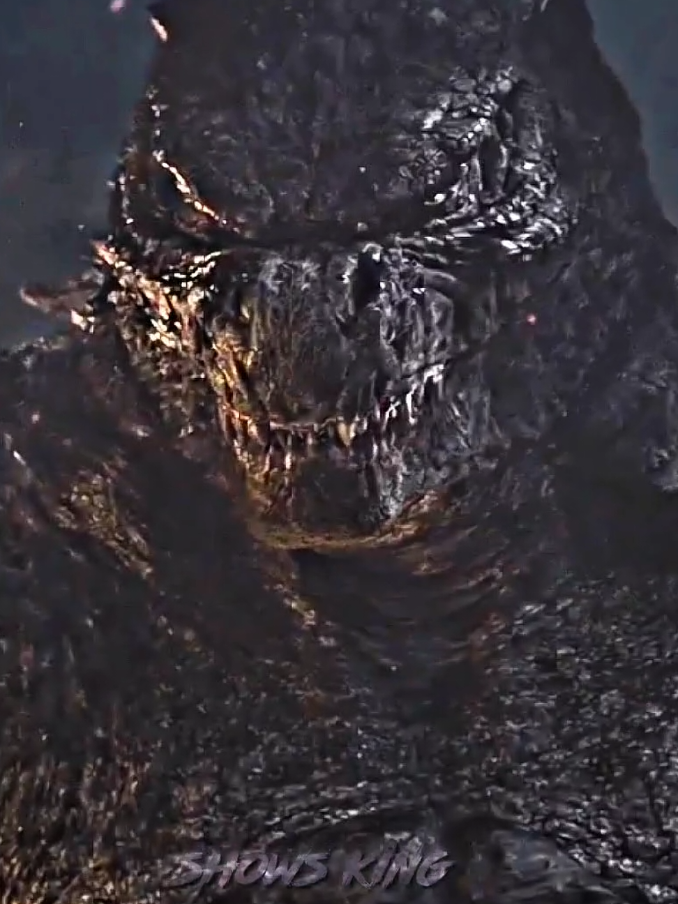 I havent posted anything in a while, so take this #monsterverse #godzilla #edit #showsking 