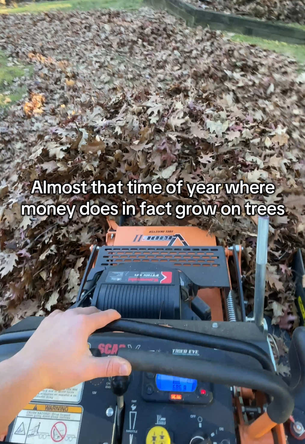 Soon💸💸 #fallcleanup #lawncare #lawntok #fyp #landscapingbusiness 