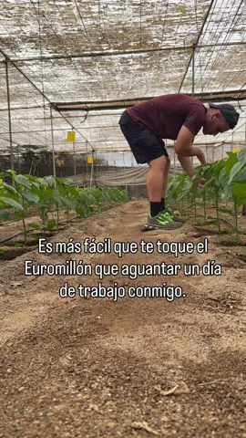 Quién es capaz de aguantar 12 horas así 🙄 #agricultura #invernaderos #almeria 