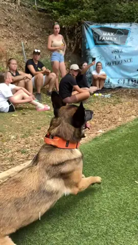 #dogs #sportstiktok #fyp 