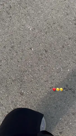 مافي مثل كوكي حقتي😢😢#كورلا2021 #ماشاء_الله_تبارك_الله #تعالو_انستا_في_البايو 