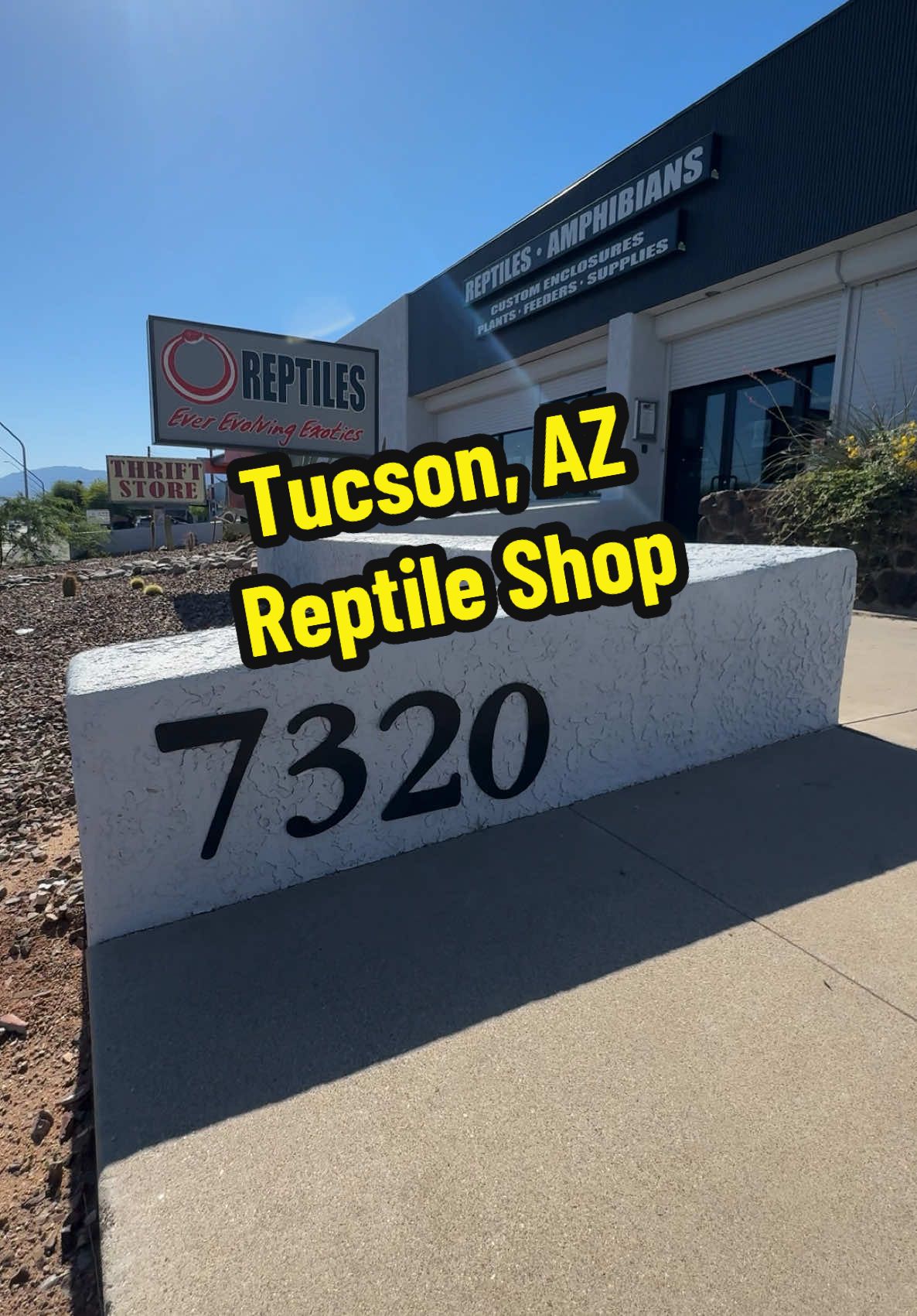 Tucson, AZ owned and operated reptile shop since 2013. #everevolvingexotics #reptileshop #tucson #arizona #reptiles #brickandmortar #SmallBusiness 