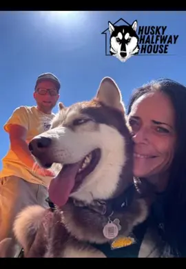 Huskies seriously make me smile.  I got to hug this guy and when I met up with @Aay Jayy to chat about the new waffle item. He and his husky Ikniq are donating a Solo Pizza oven to help us raise money to cover our expenses this week!!  A PIZZA OVEN GUYS!! Go get your shot at it and help us get through the week!! LINKS IN THE BIO!  Go! https://www.huskyhalfwayhouse.org/product-page/fired-up-for-huskies Huge shout out to Ajay and Ikniq for the donation 😍.  Now if each one of you would buy just one ticket then this one donation literally turns in enough to cover our entire week.  So will you each just please buy one ticket?  #supportrescue #huskyhalfwayhouse #halfwayhusky #fypage #becausehusky 