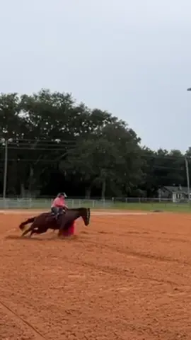 Pokey came to work 🤎 #fy #barrelracer #barrelhorse #horses #equestrian 