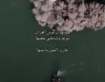 قناتي التلجرام بـ البايو 📮 دير الزور الجسر المعلق #الحسكه_الرقه_ديرالزور_القامشلي #سوريا🇸🇾 #عبارات_قصايد_خواطر_شعر #اغاني_عراقيه_حزينه #شيلات_حزن_غياب_مفارق_خذلان 