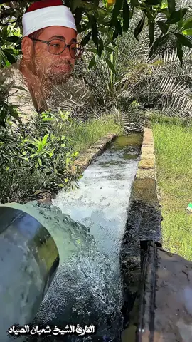 من روائع التسجيلات النادرة لفضيلة الشيخ شعبان الصياد رحمه الله صوت صياد القلوب وكروان الفجر صوت يأسر القلوب استمع واستمتع بجمال وحلاوة صياد القلوب #شعبان_الصياد #تلاوات_مؤثرة #تلاوات_خاشعة #تلاوات_نادره #تلاوات_قرآنية 