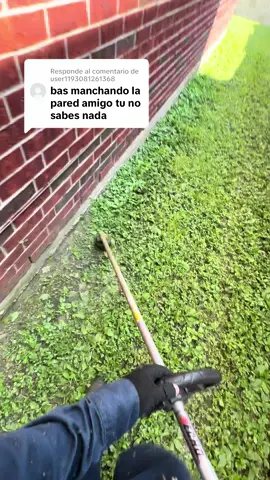 Respuesta a @user1193081261368 #yardwork #parati #yarderos 