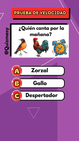Prueba de velocidad. #quiz #juego #desafío #aprender #LearnOnTikTok 
