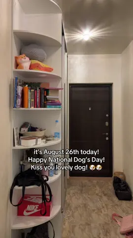 🐶🐶