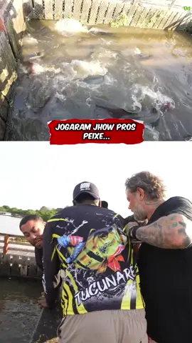 Jogaram jhow pros peixes kkkk @Jon Vlogs #jonvlogs #peixe #bdj #subathon 