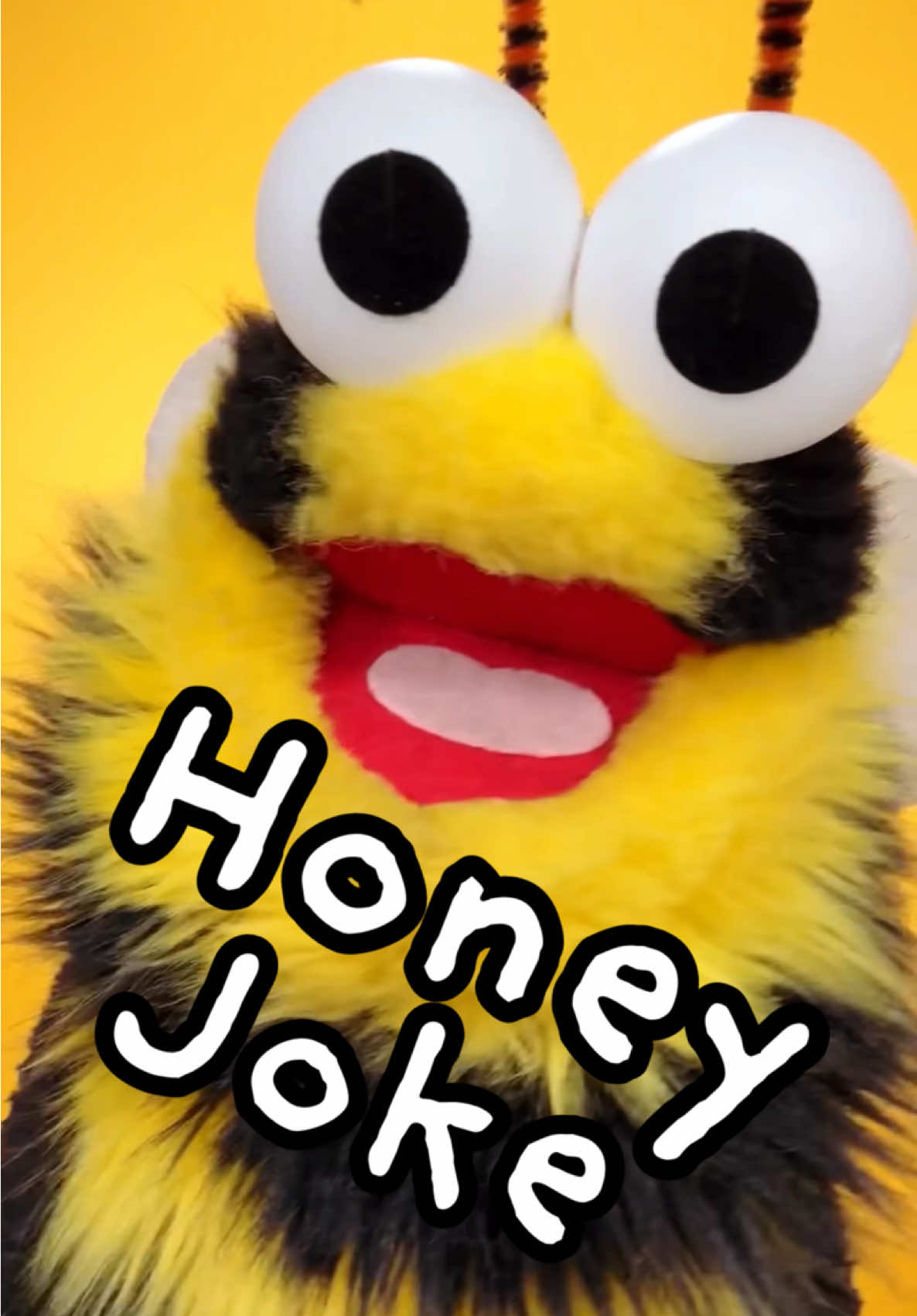 Honey hopes this joke makes your day a Brazilian times better 🤣 #puppet #dadjokes #brazil #portugal 