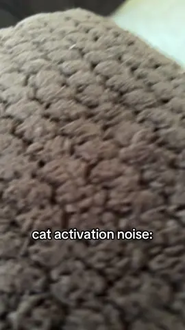 she’s spooked by everything lol #cat #noise #funny #meow #pet 