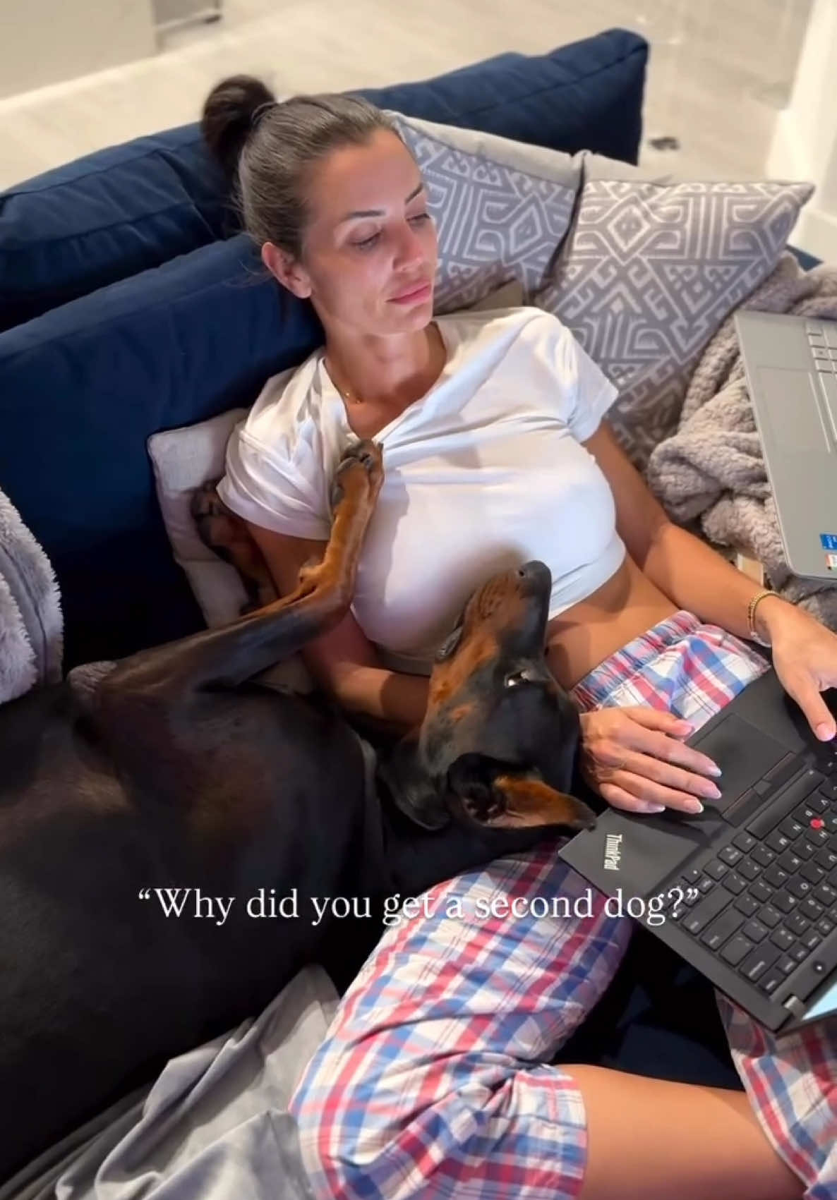 And they became the best of friends 🤎🤎 #Doberman #dobermanpuppy #littermates #fyp #dogsoftiktok 