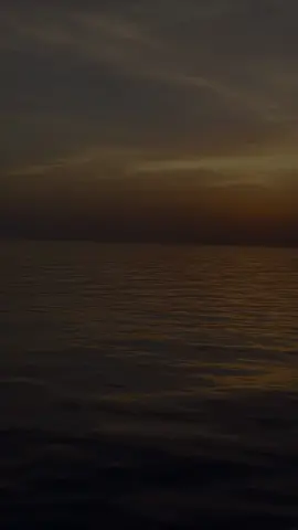 #فاضل شاكر 