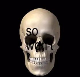 These are what make me unlovable #bp#bones #skull #bpedit #unloveable 