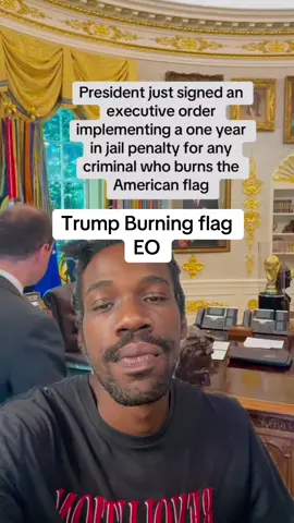 @Team Trump that’s not how law works#fyp #trump #maga #politicstiktok #america 
