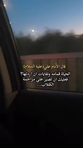 سلام الله عليك ياأبو الحسن ع #تصويري #عبارات #كلام_من_ذهب #اسيل🌻🍂 #fyyyyyyyyyyyyyyyy 