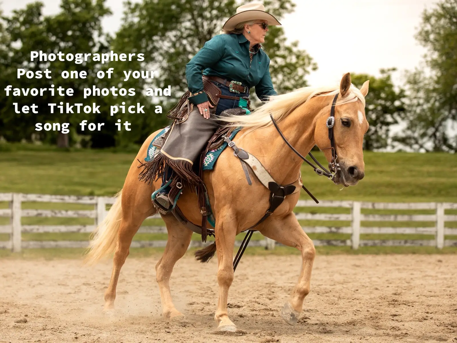 Posting one of my favorite #photos and letting #TikTok choose a #song  #photography #equinephotography 