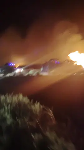 عشيرة الدلفيه ❤️ محد يندك بينه 