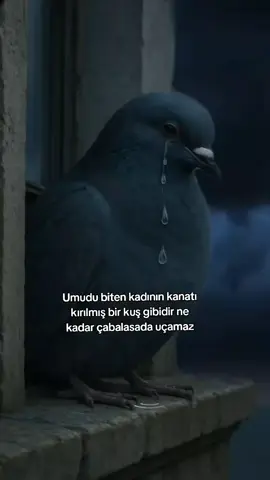 #keşfetteyizzz#fyp 