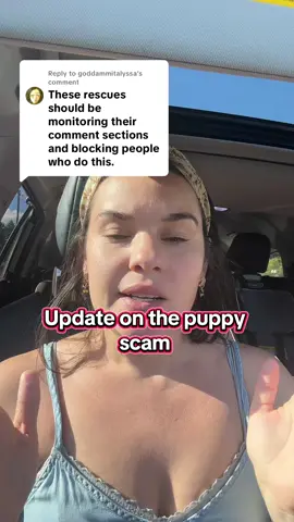 Replying to @goddammitalyssa hoping this all has a happy ending and I bring home our new baby tomorrow 🤞🤞🤞 #scam #scamstory #dogmom #dog #adoptdontshop 