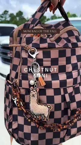 Literally obsessed 🤎 chestnut color @Rainbow Boutique LLC #irisandrainbow #minibackpack #fallaesthetic #mombag #tiktokshopcreatorpicks 