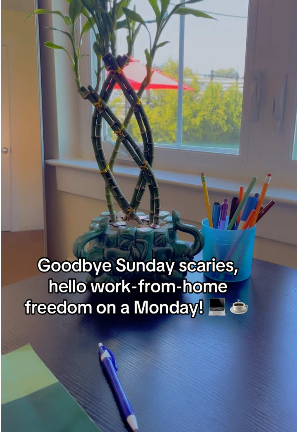 No Sunday scaries when you work from home 🏡 freedom, flexibility and the peace of mind all week long! 👏🏽💚 #workfromhome #momboss #momprenuer #MomsofTikTok #mondayreset 